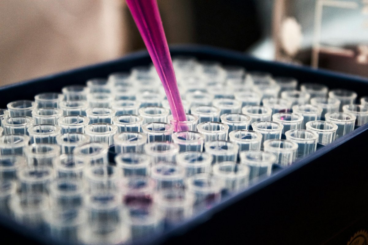 Pipeta dispensando líquido rosa numa bandeja de microtubos na bancada de um laboratório